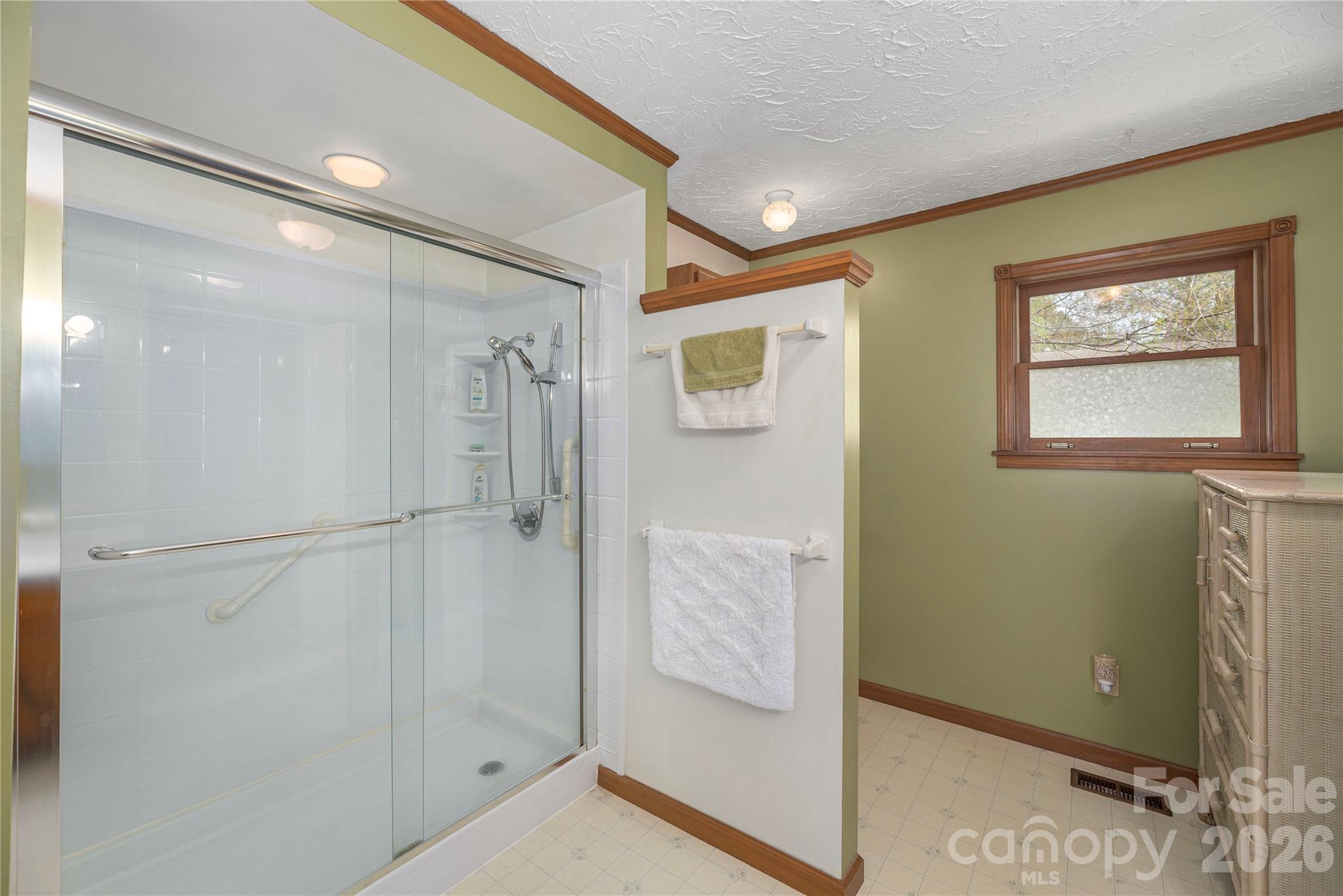 13 Forge Drive Mills River NC 28759