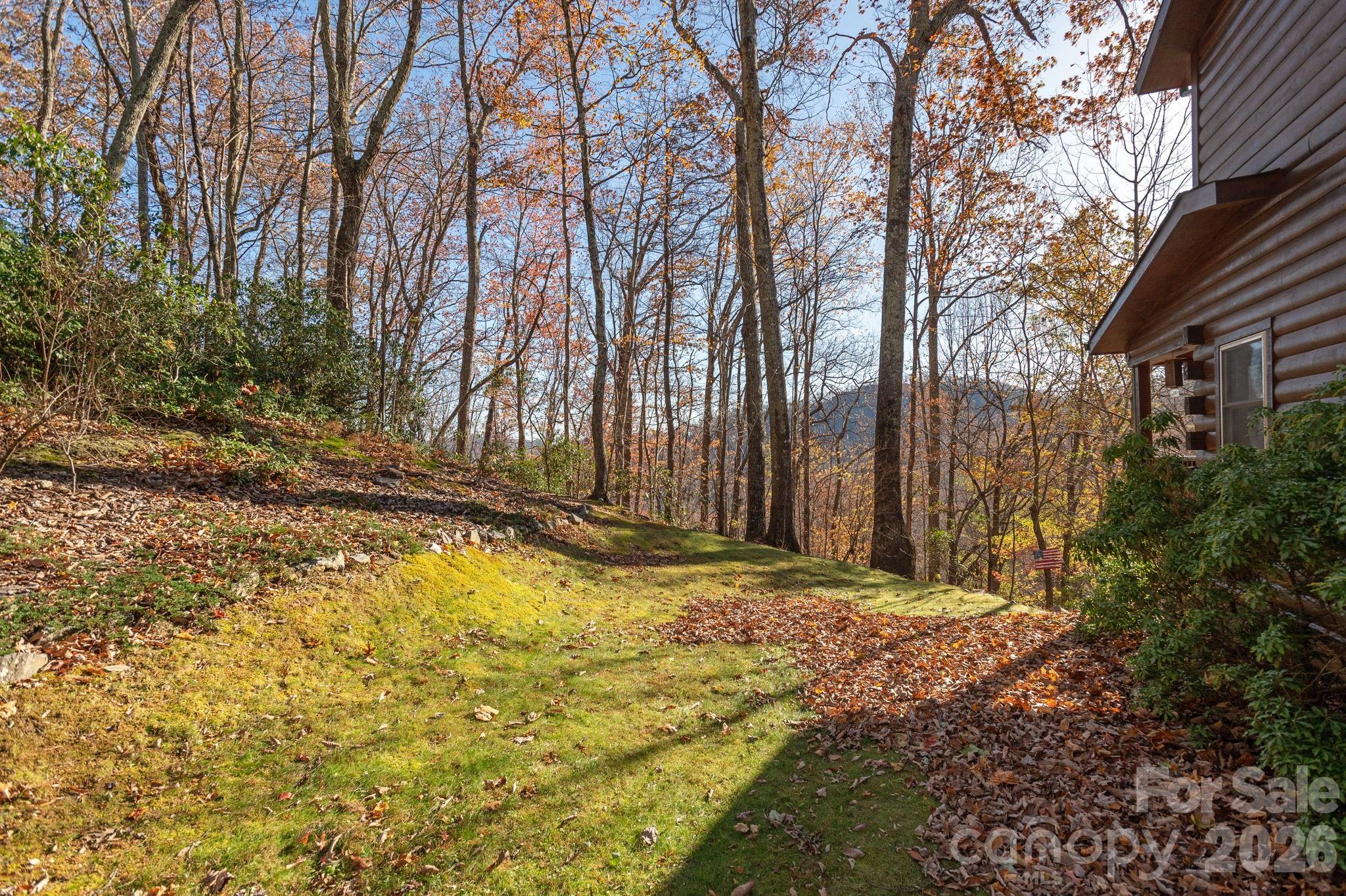 48 & 50 Wild Turkey Run Black Mountain NC 28711