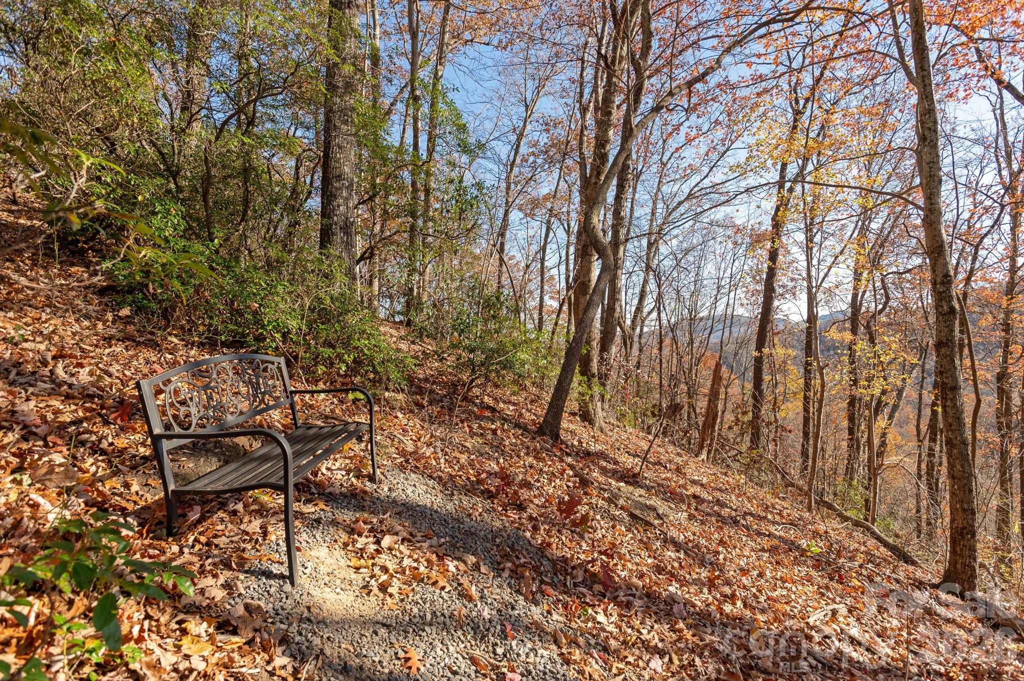 48 & 50 Wild Turkey Run Black Mountain NC 28711