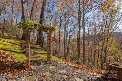 48 & 50 Wild Turkey Run Black Mountain NC 28711