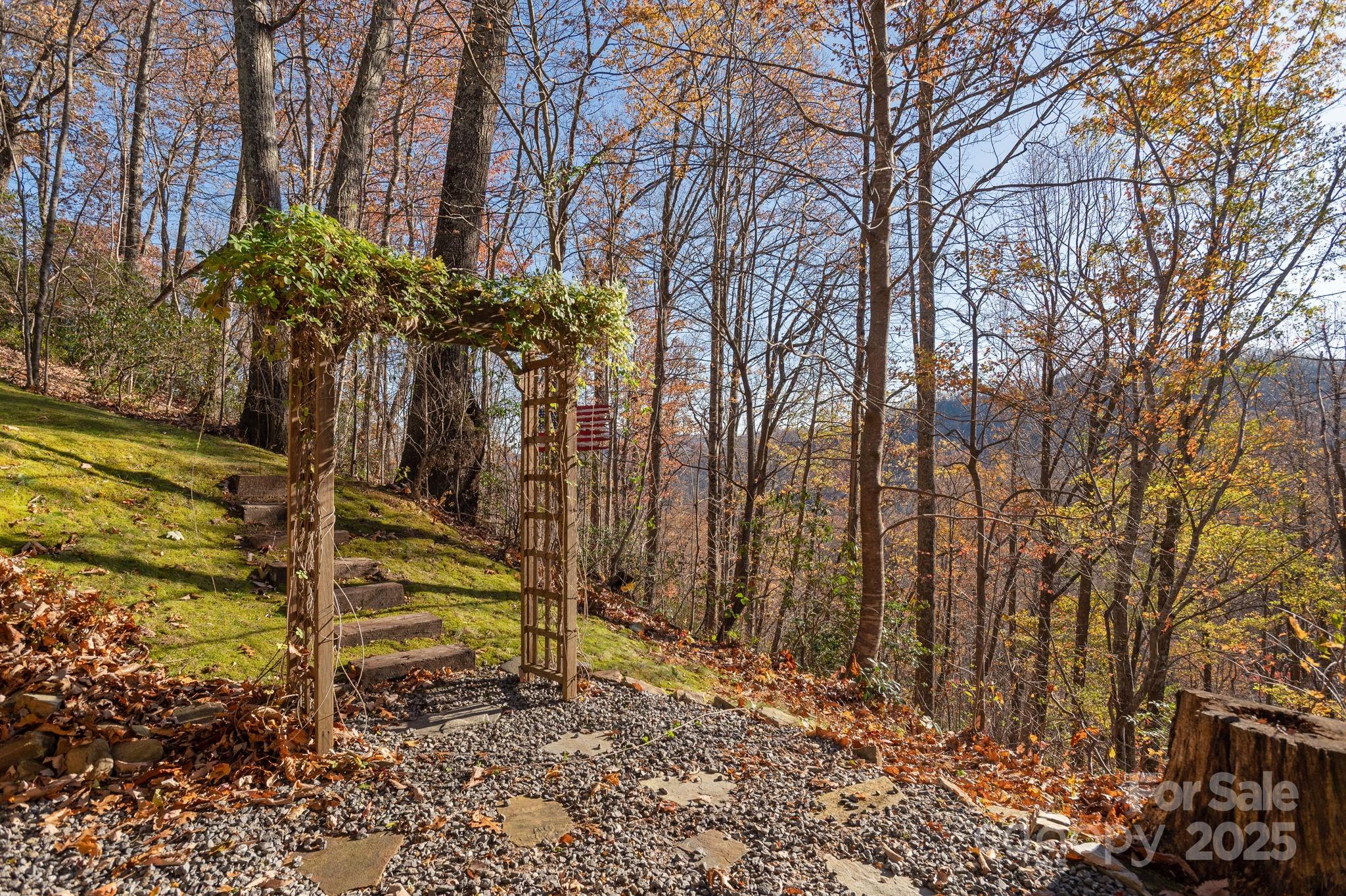 48 & 50 Wild Turkey Run Black Mountain NC 28711