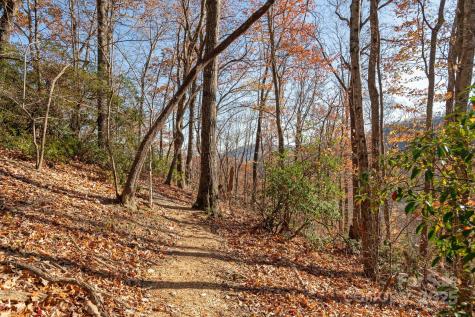 48 & 50 Wild Turkey Run Black Mountain NC 28711