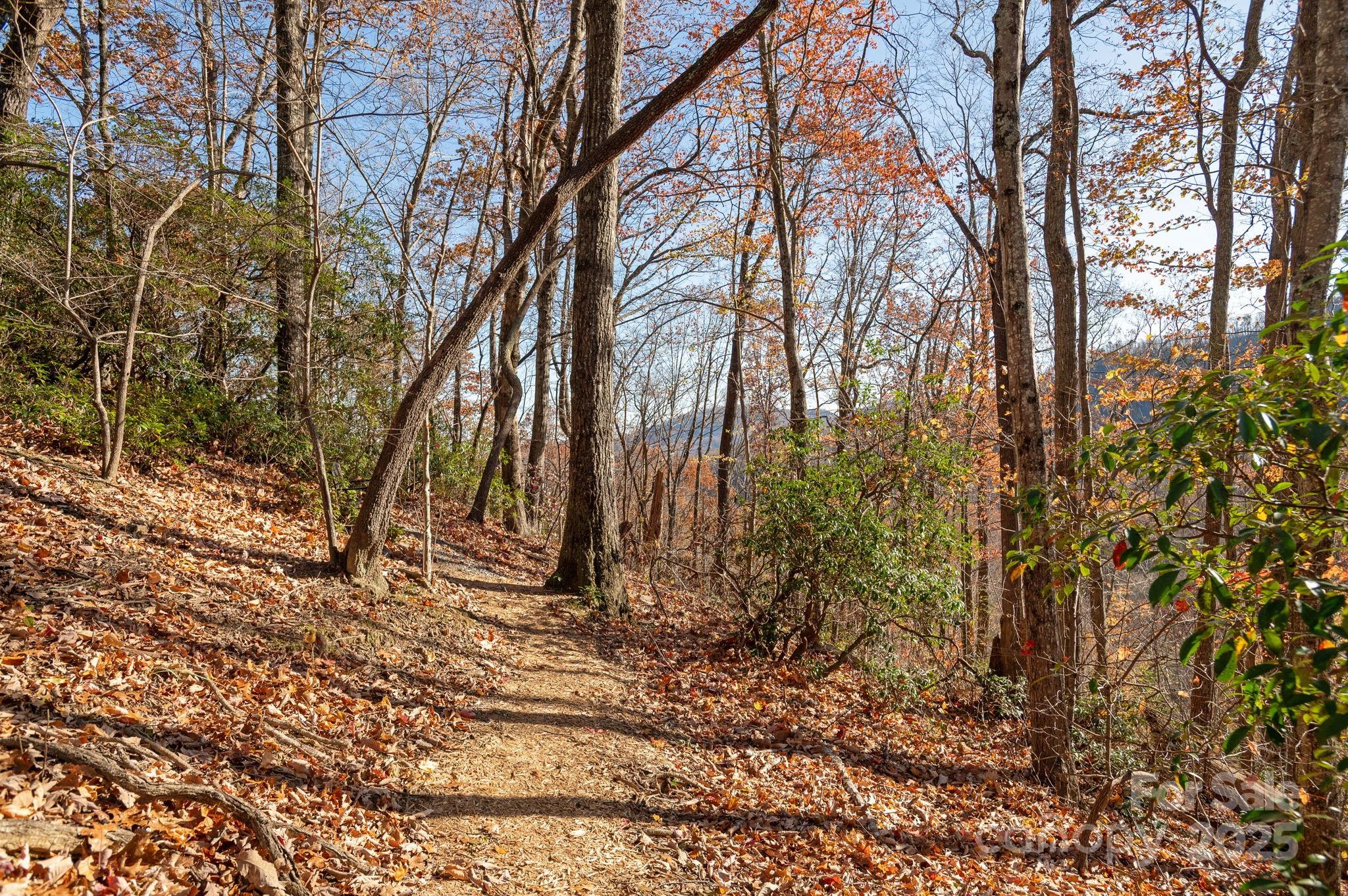 48 & 50 Wild Turkey Run Black Mountain NC 28711
