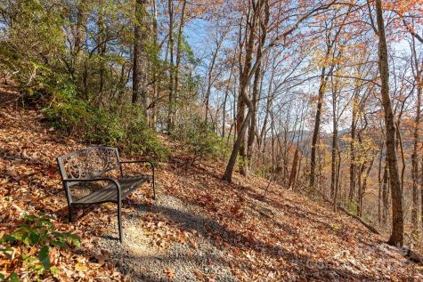 48 & 50 Wild Turkey Run Black Mountain NC 28711