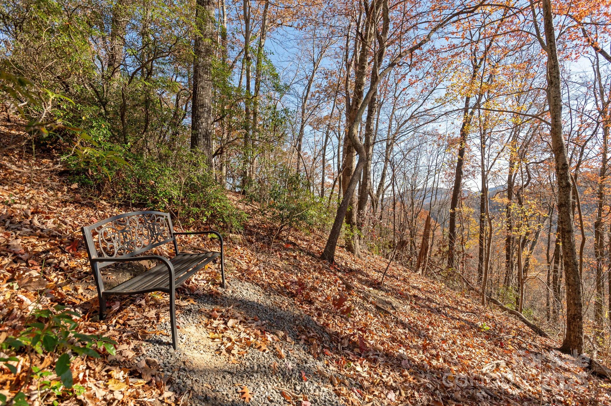 48 & 50 Wild Turkey Run Black Mountain NC 28711