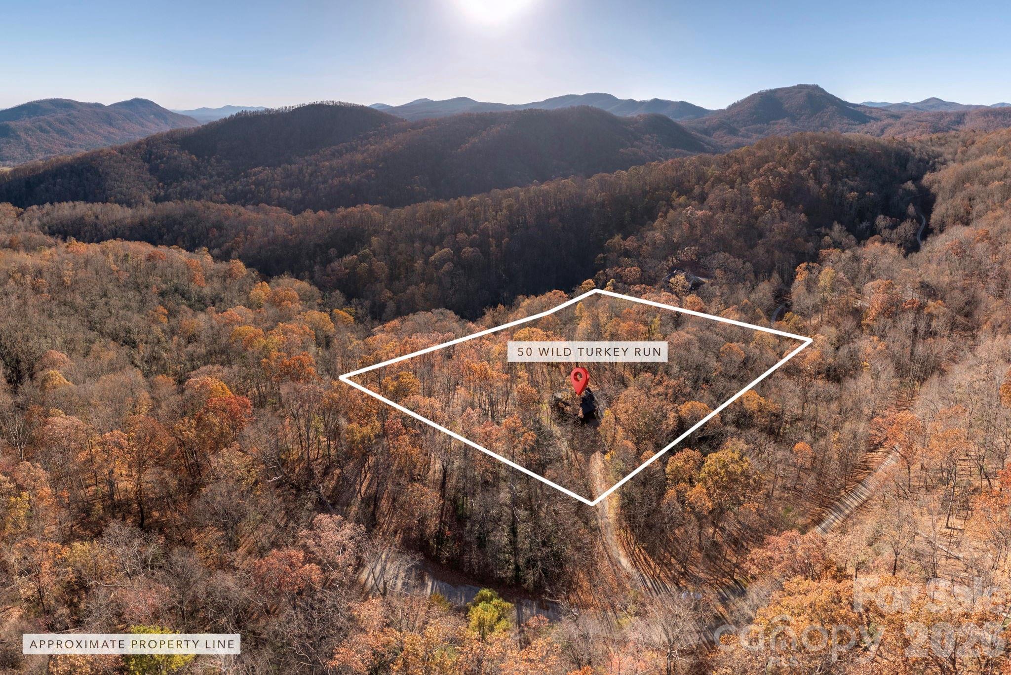 48 & 50 Wild Turkey Run Black Mountain NC 28711