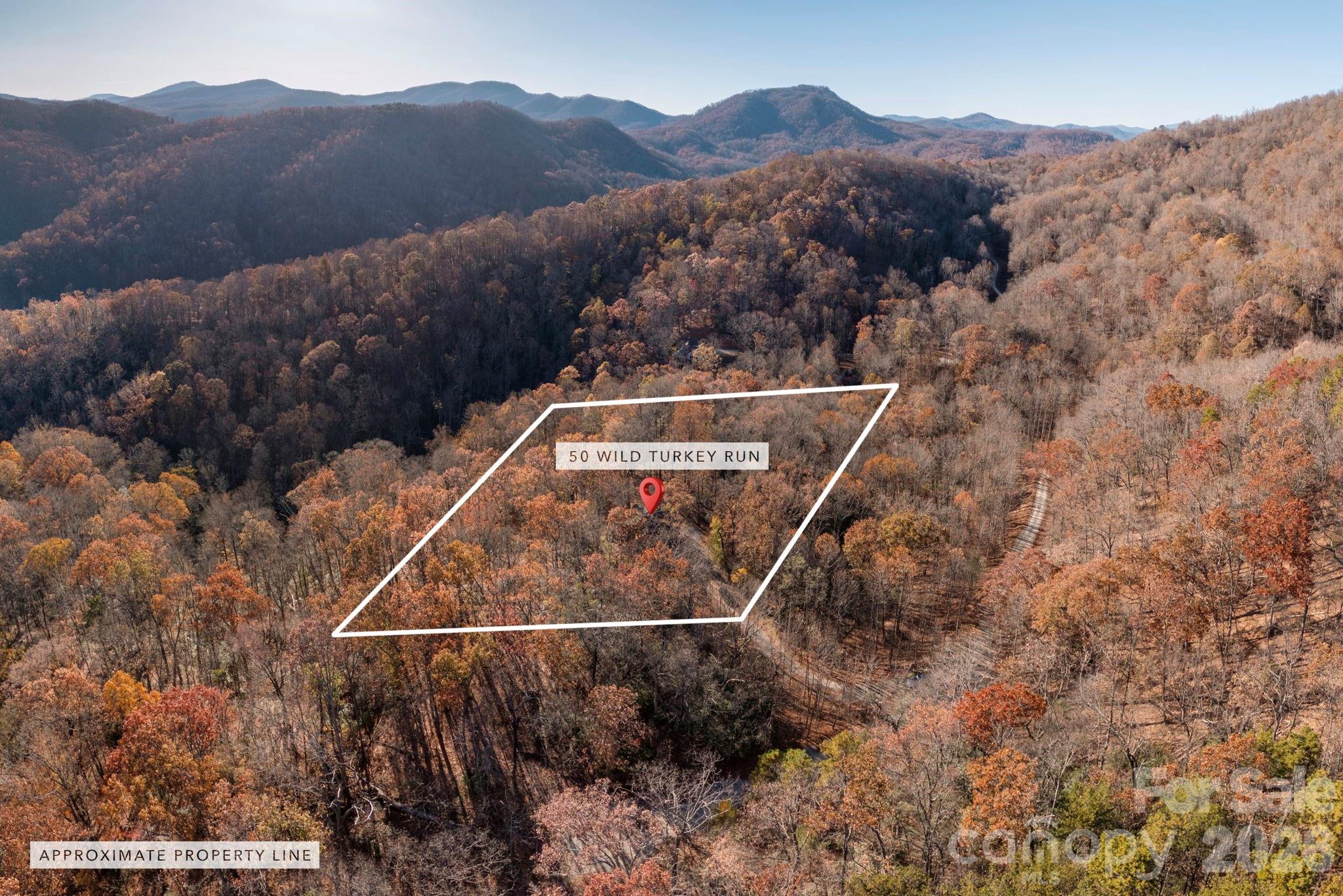 48 & 50 Wild Turkey Run Black Mountain NC 28711