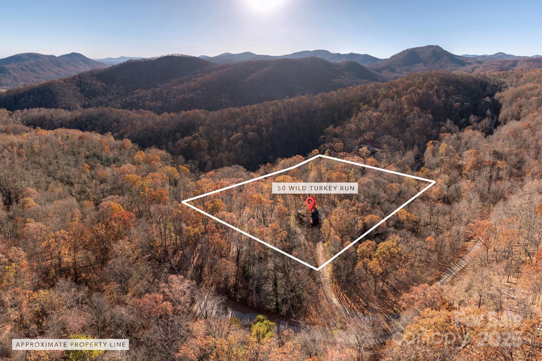 48 & 50 Wild Turkey Run Black Mountain NC 28711