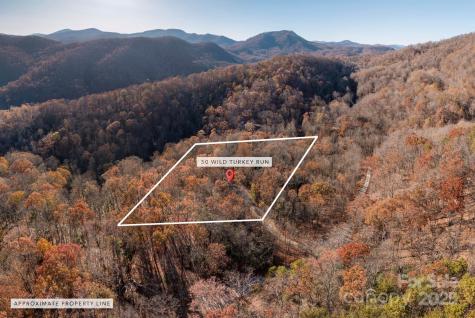 48 & 50 Wild Turkey Run Black Mountain NC 28711
