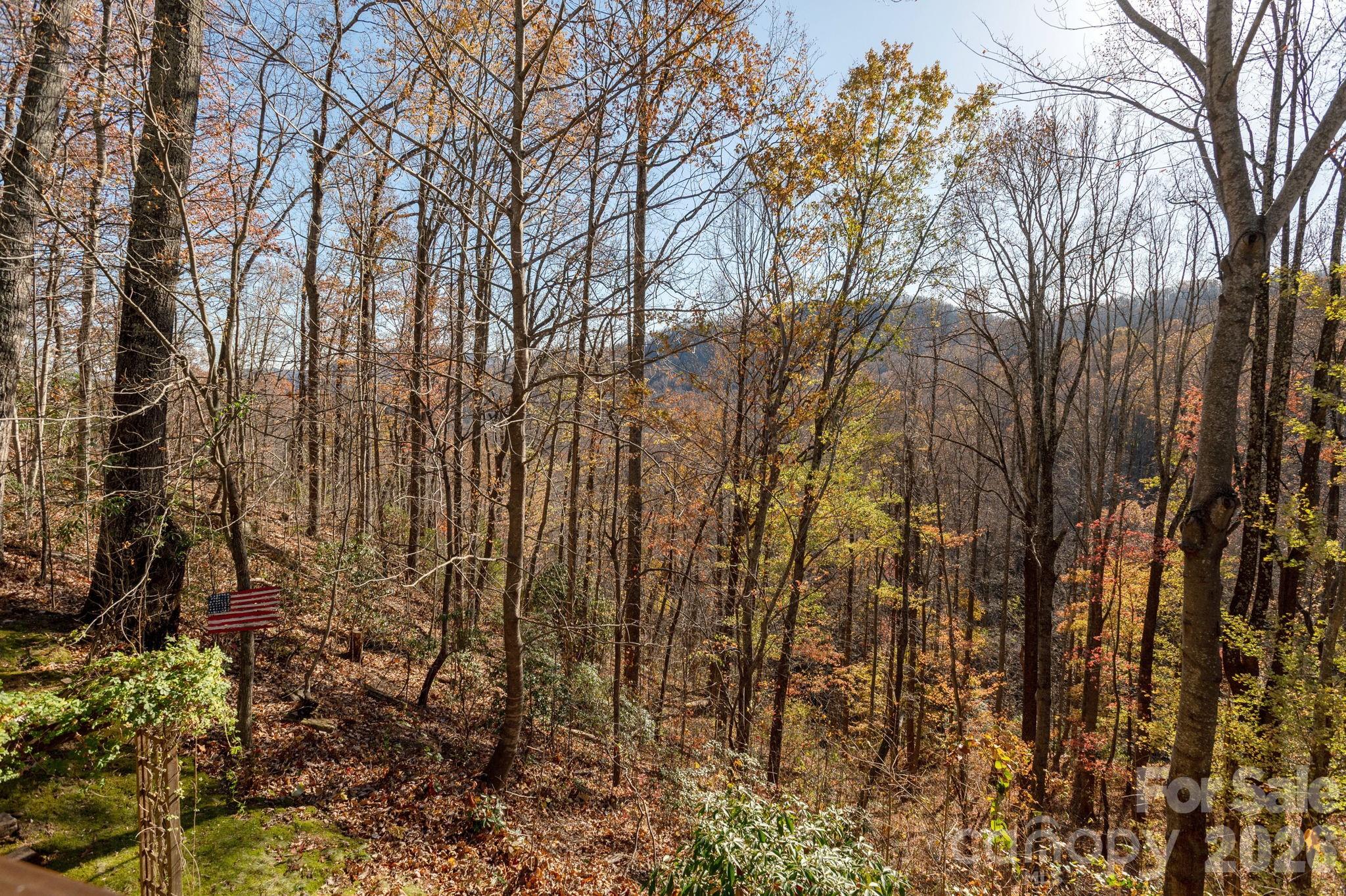 48 & 50 Wild Turkey Run Black Mountain NC 28711