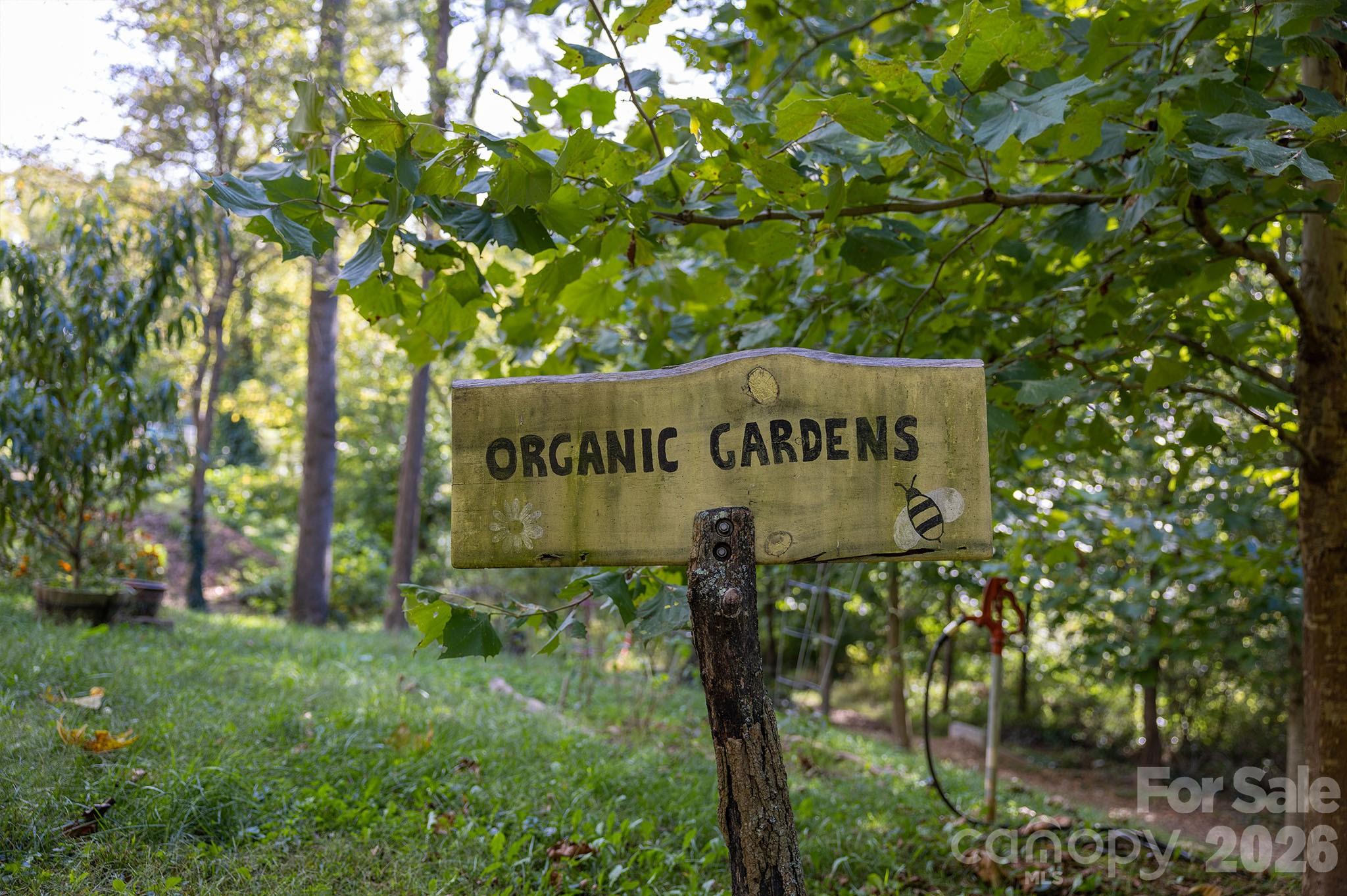 63 Orrinel Way Asheville NC 28806