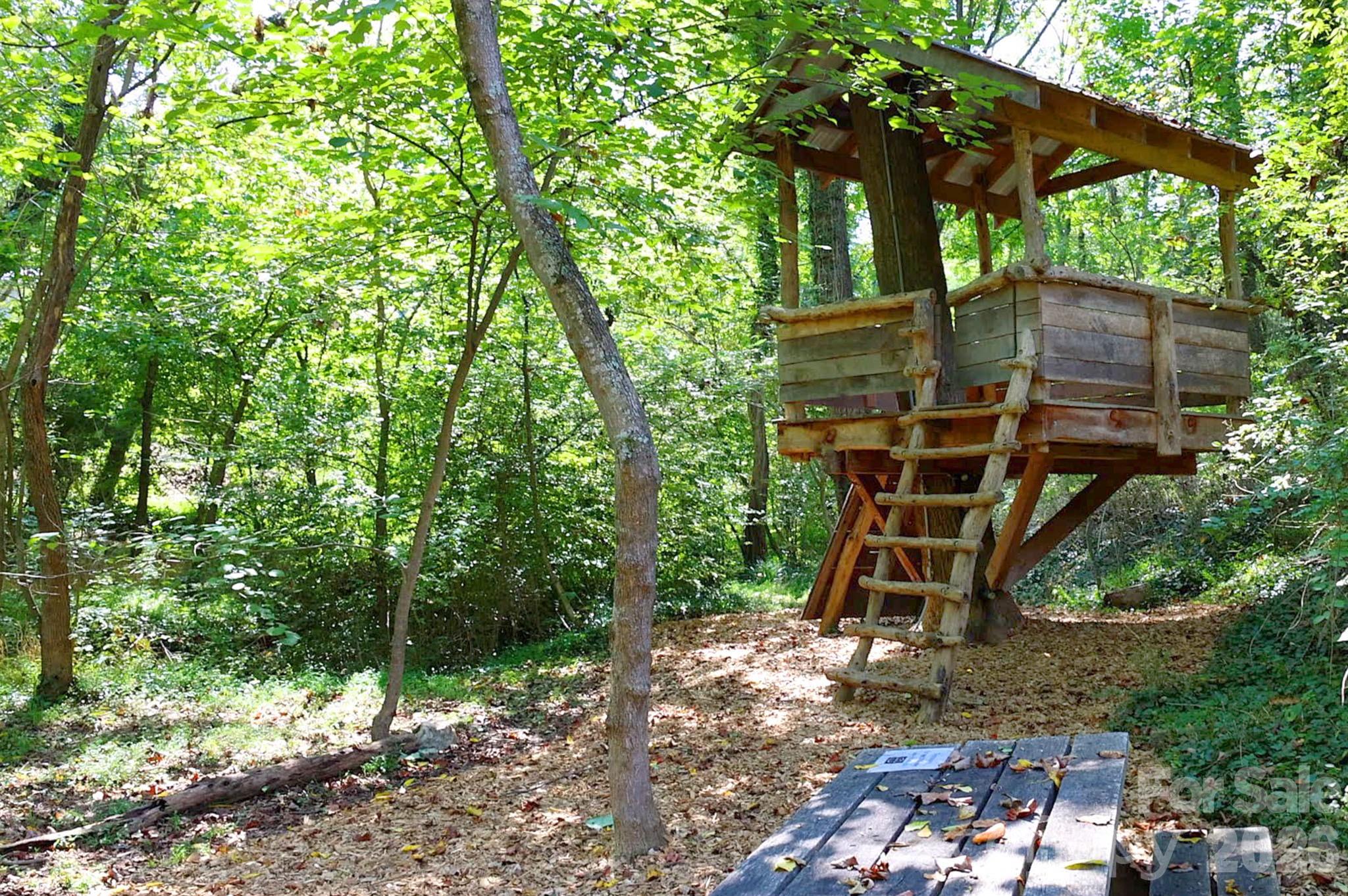 63 Orrinel Way Asheville NC 28806