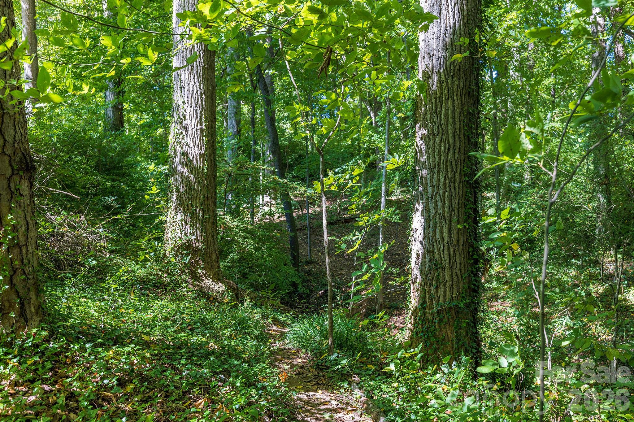 63 Orrinel Way Asheville NC 28806