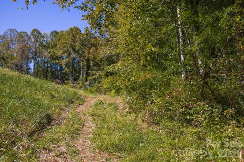 63 Orrinel Way Asheville NC 28806