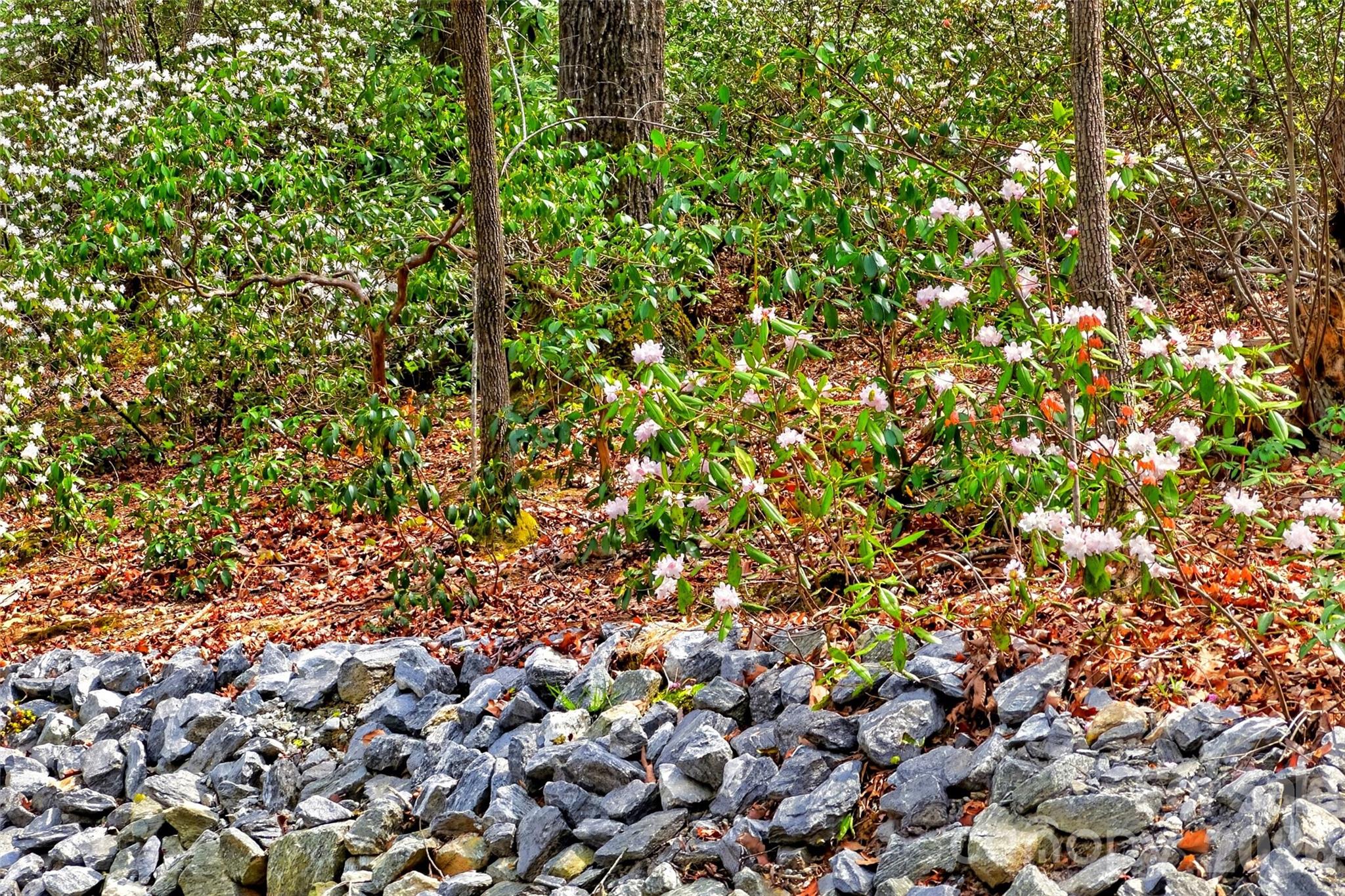 1413 Golf Course Road Old Fort NC 28762