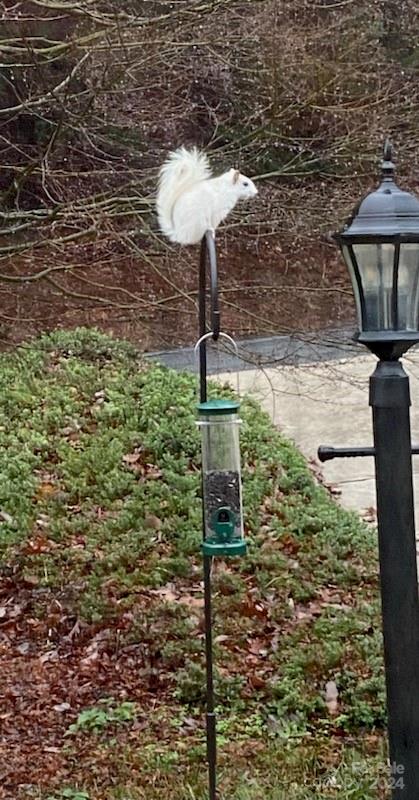 124 Jenny Lind Drive Hendersonville NC 28791