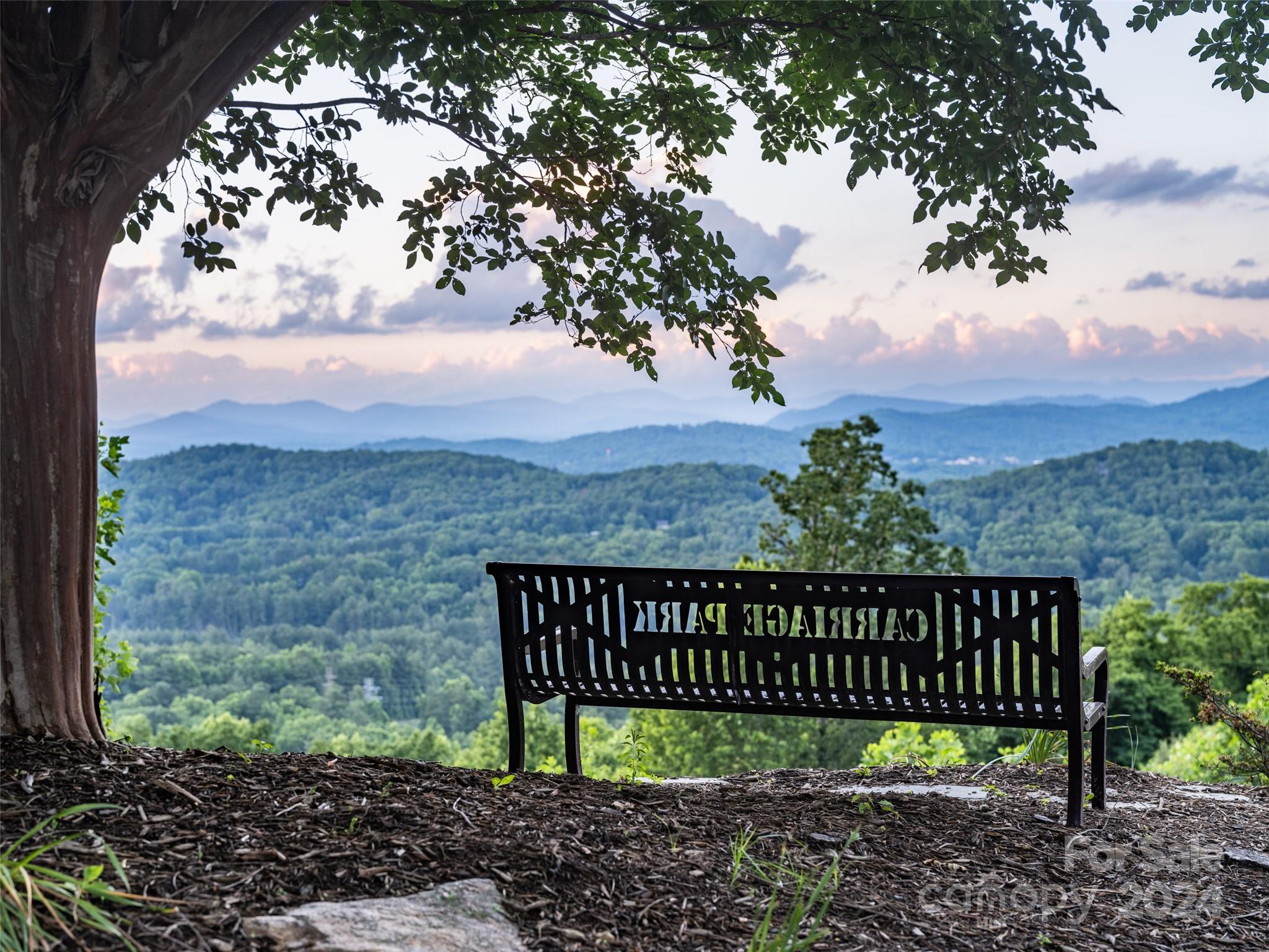 124 Jenny Lind Drive Hendersonville NC 28791