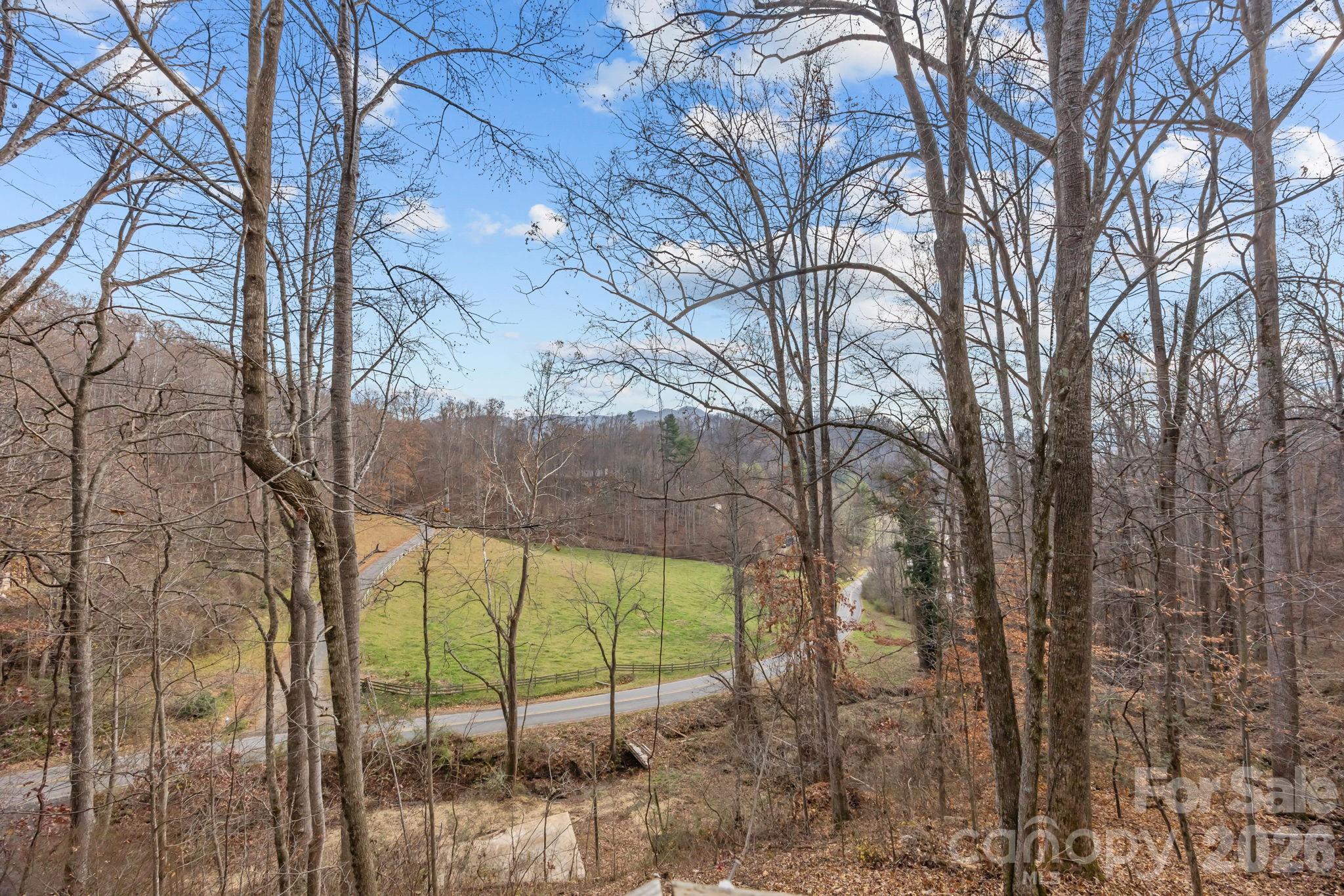 242 Moody Cove Road Weaverville NC 28787