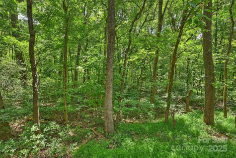 6115 Coltswood Court Charlotte NC 28211