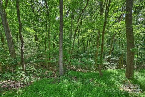 6115 Coltswood Court Charlotte NC 28211