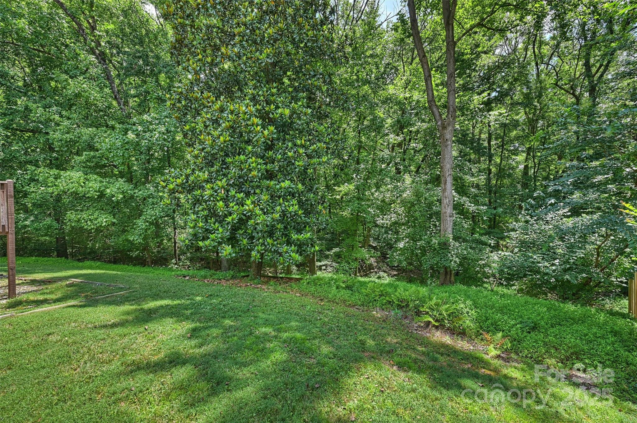 6115 Coltswood Court Charlotte NC 28211