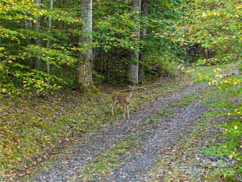 635 Whisper Mountain Drive Leicester NC 28748