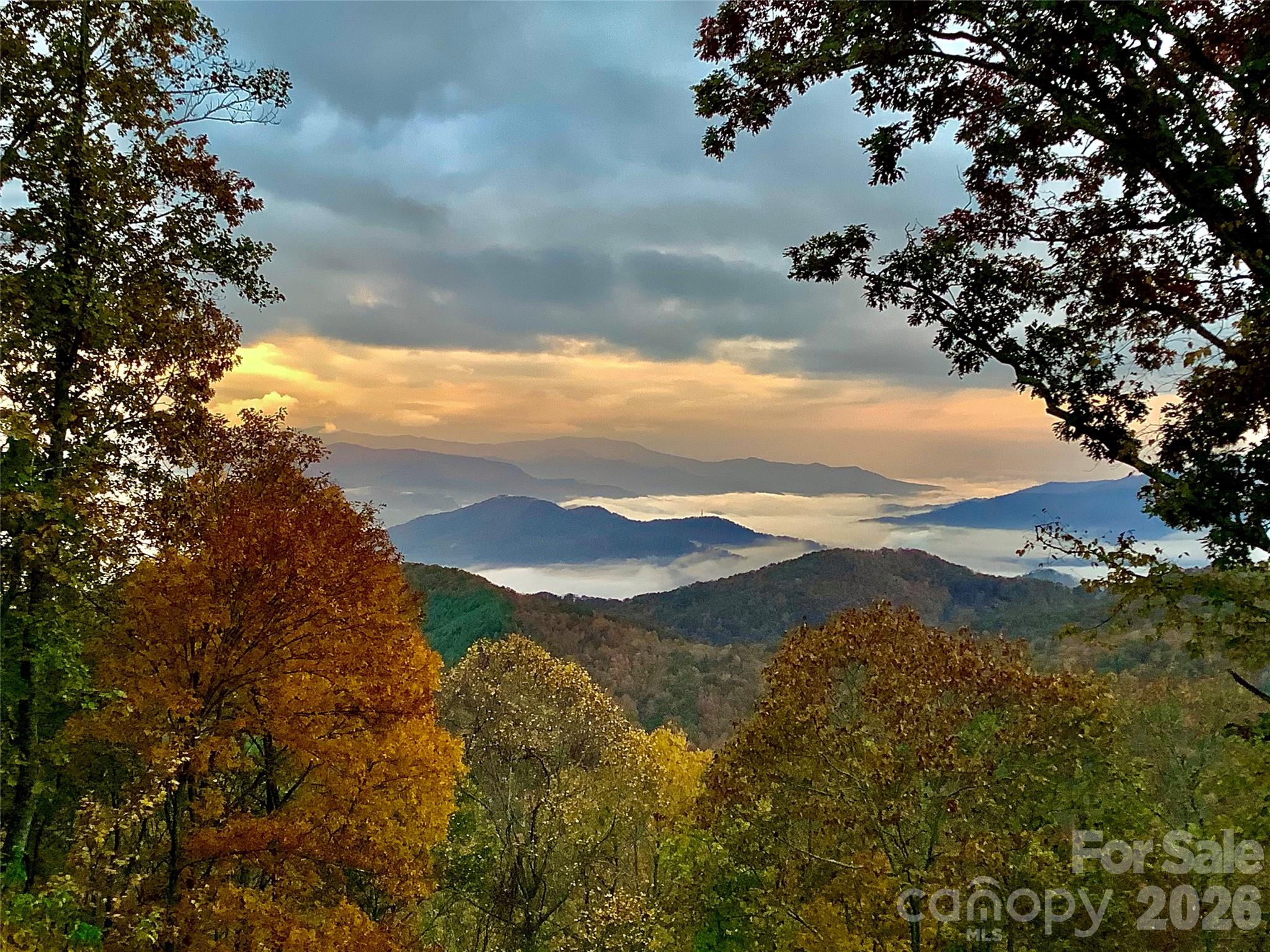 2223 Scarlet Ridge Sylva NC 28779