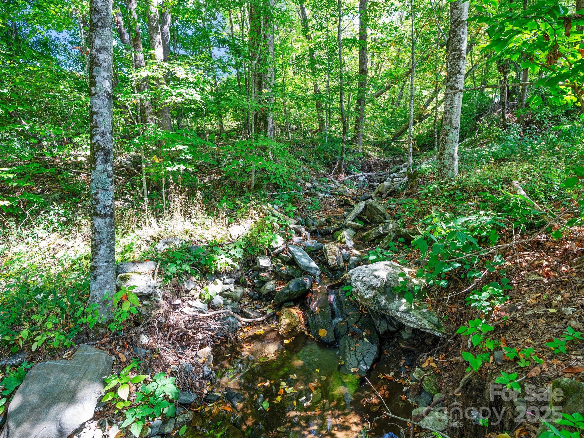 1992 Green Creek Road Bakersville NC 28705