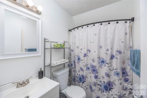20 Lionel Place Asheville NC 28806