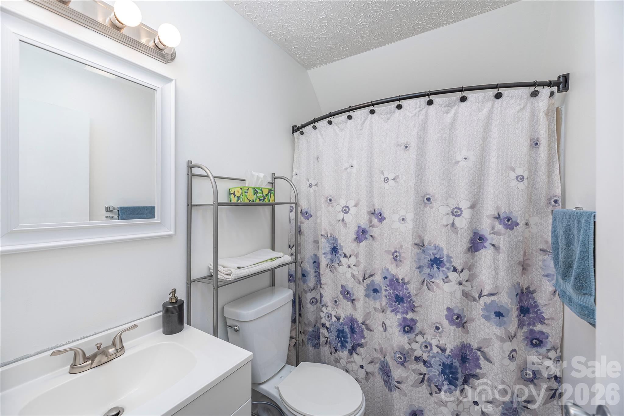 20 Lionel Place Asheville NC 28806