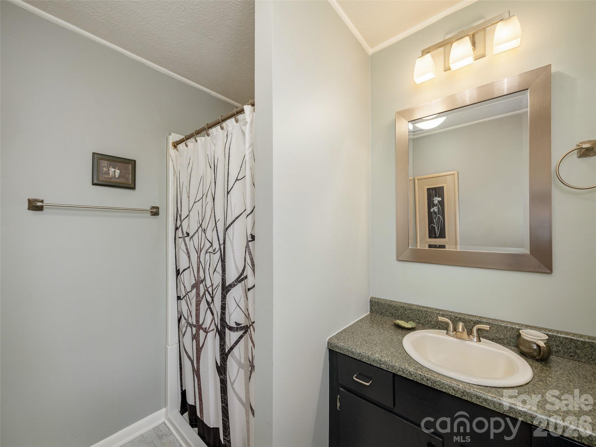 54 Bear Rock Loop Road Hendersonville NC 28739