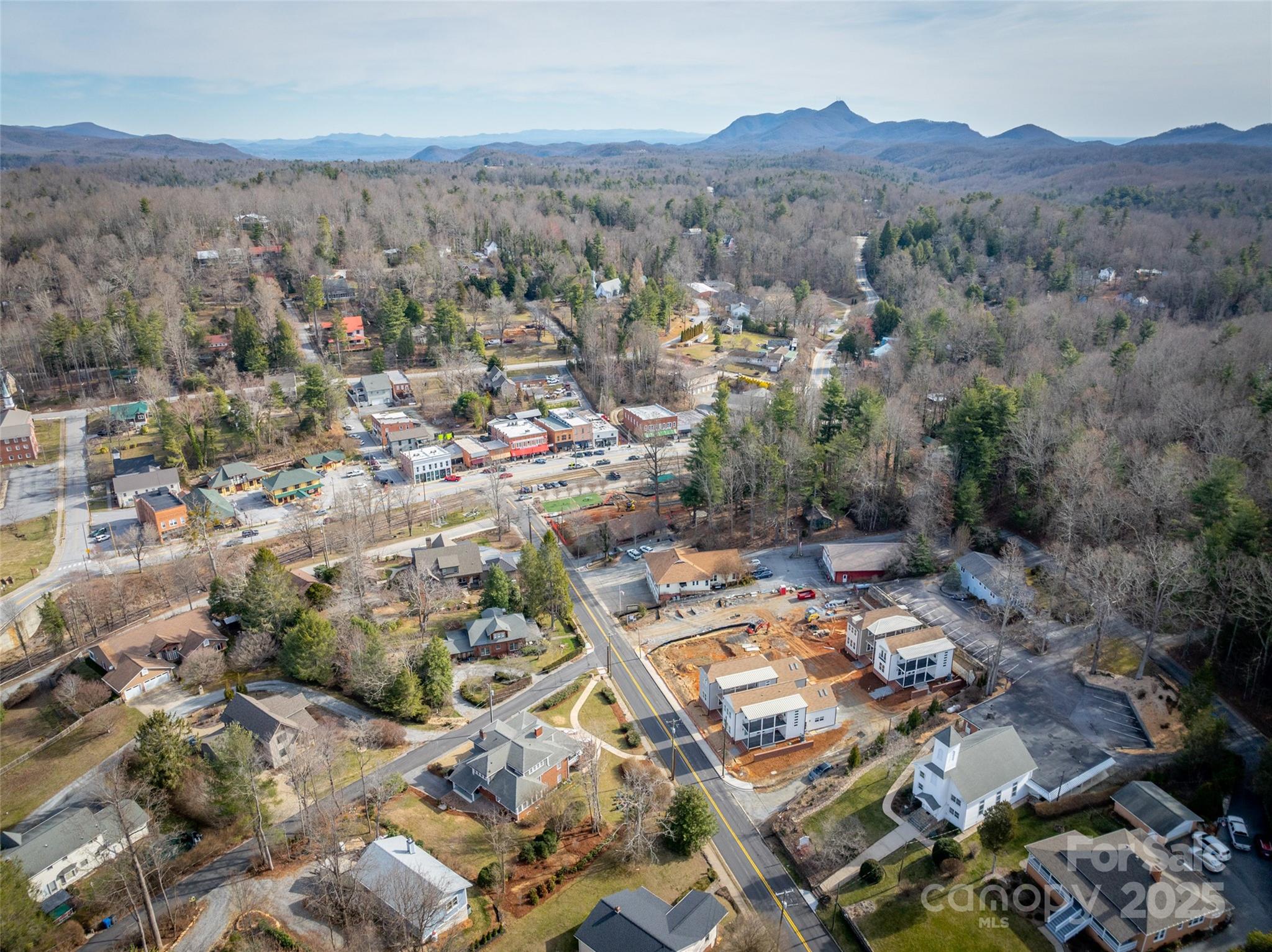 55 Skyvue Court Saluda NC 28773
