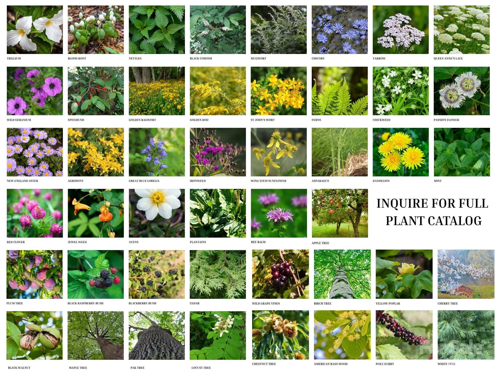 340 Wendy Avenue Marshall NC 28753