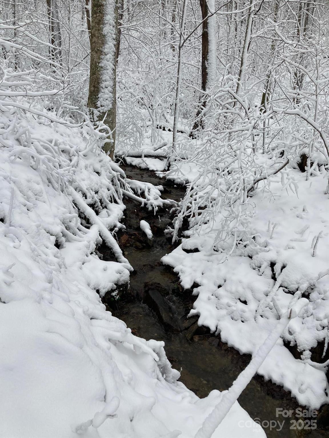 340 Wendy Avenue Marshall NC 28753