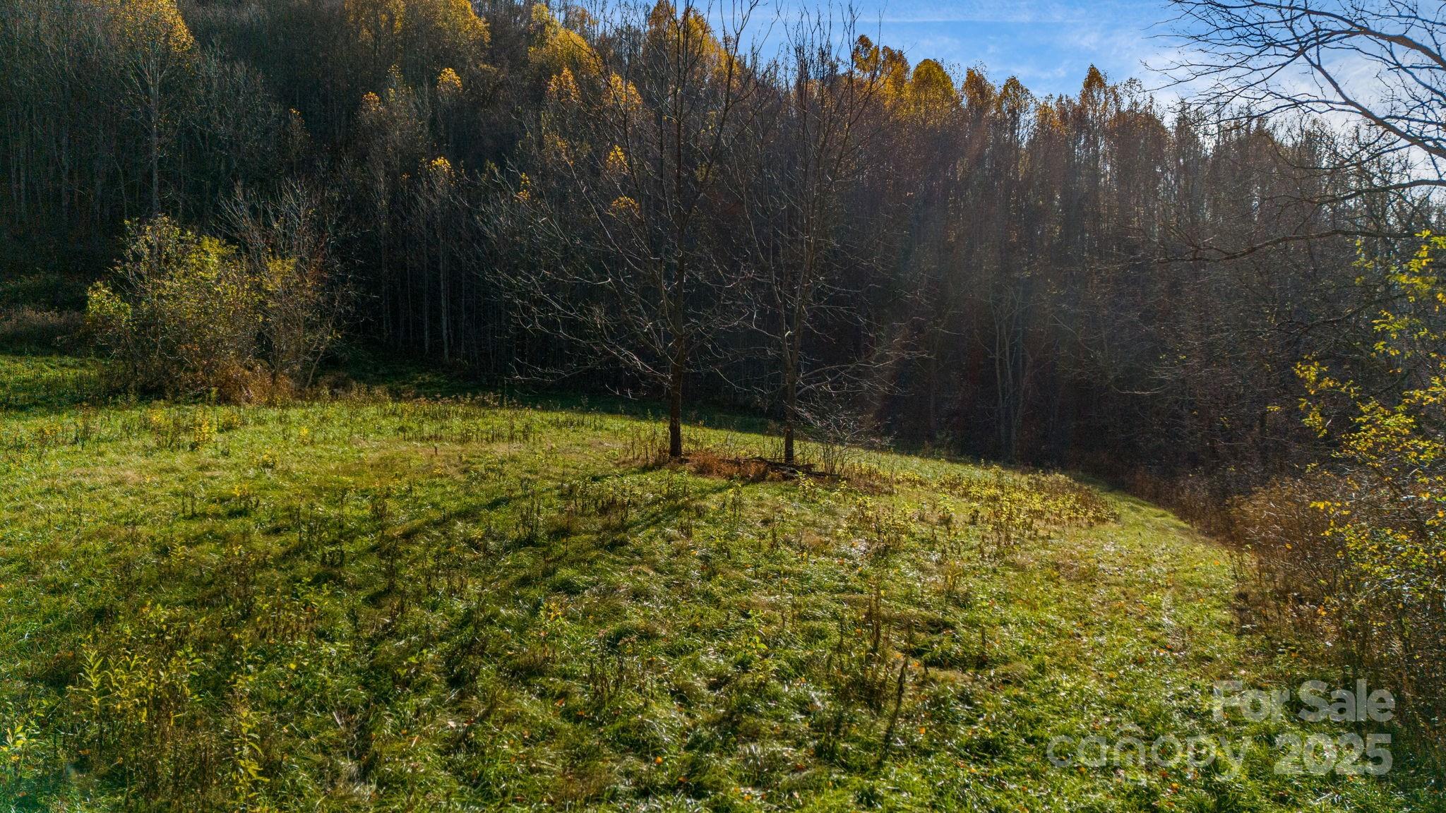 340 Wendy Avenue Marshall NC 28753