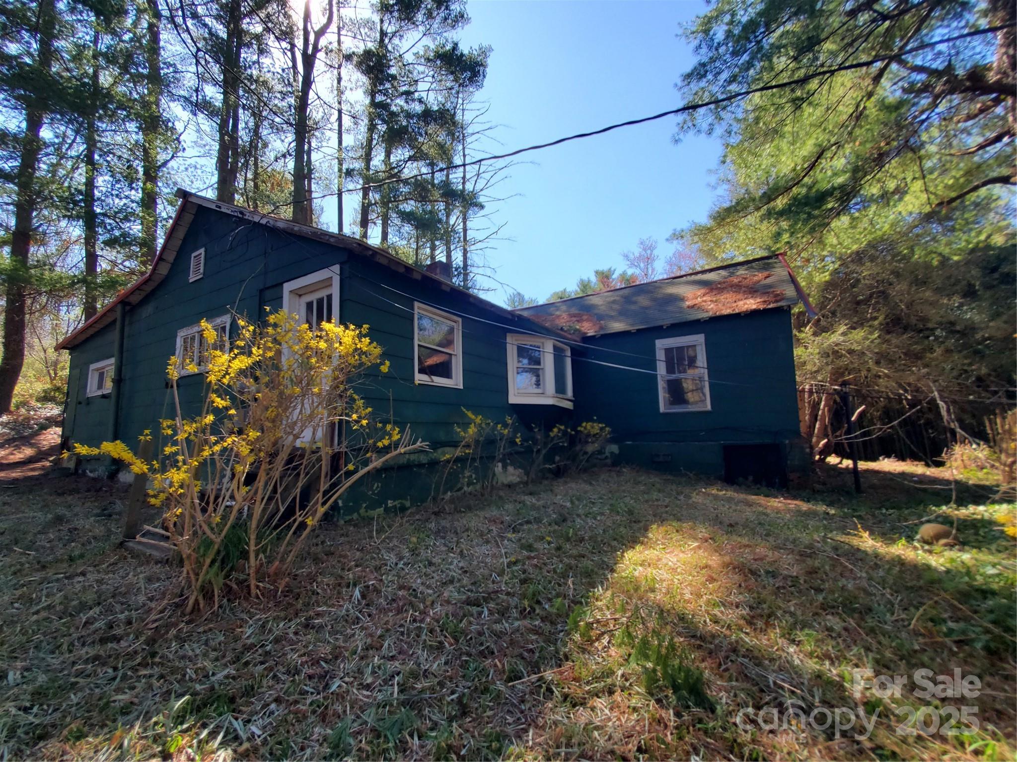 28 Plemmons Street Canton NC 28716