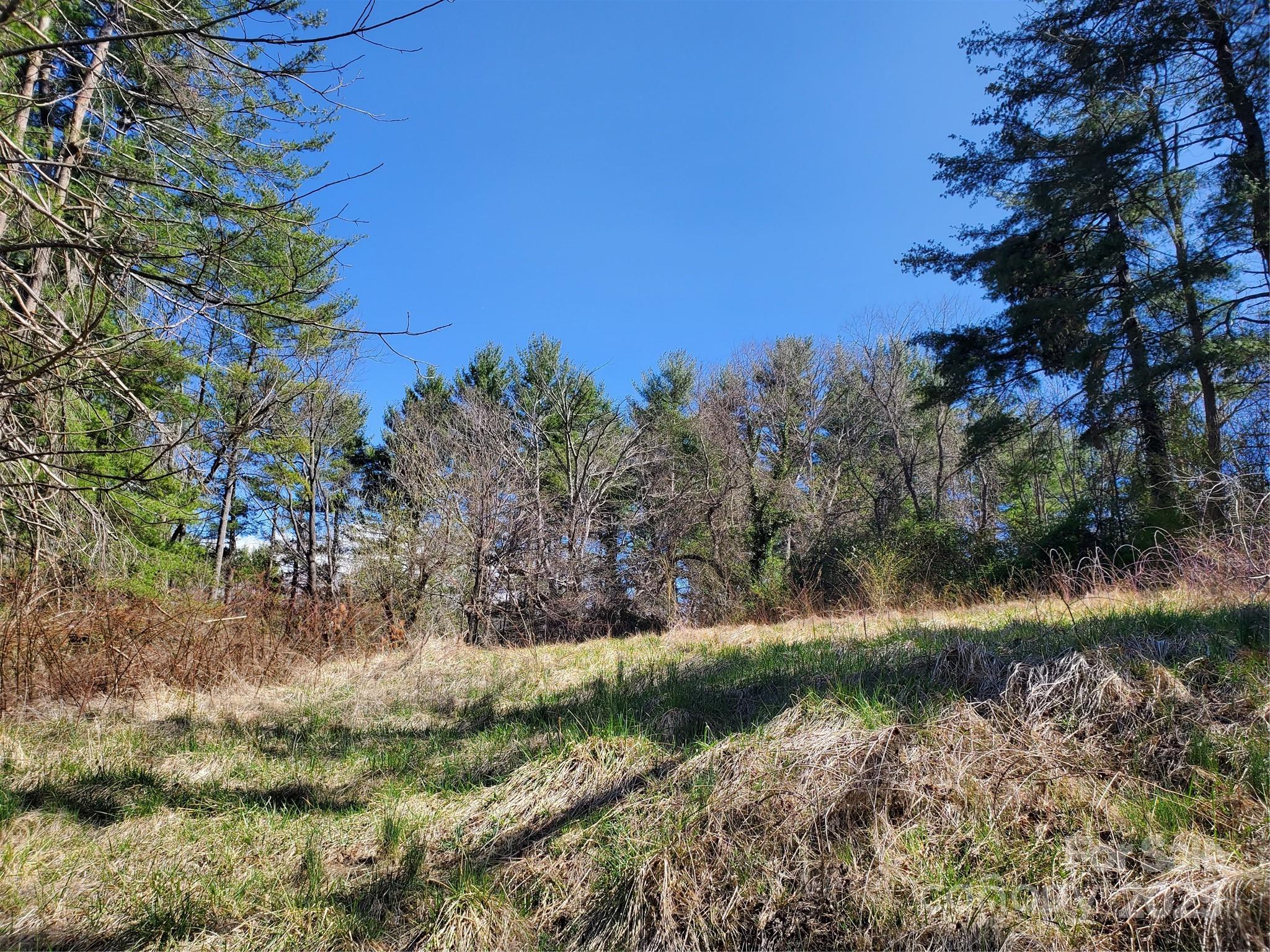 28 Plemmons Street Canton NC 28716