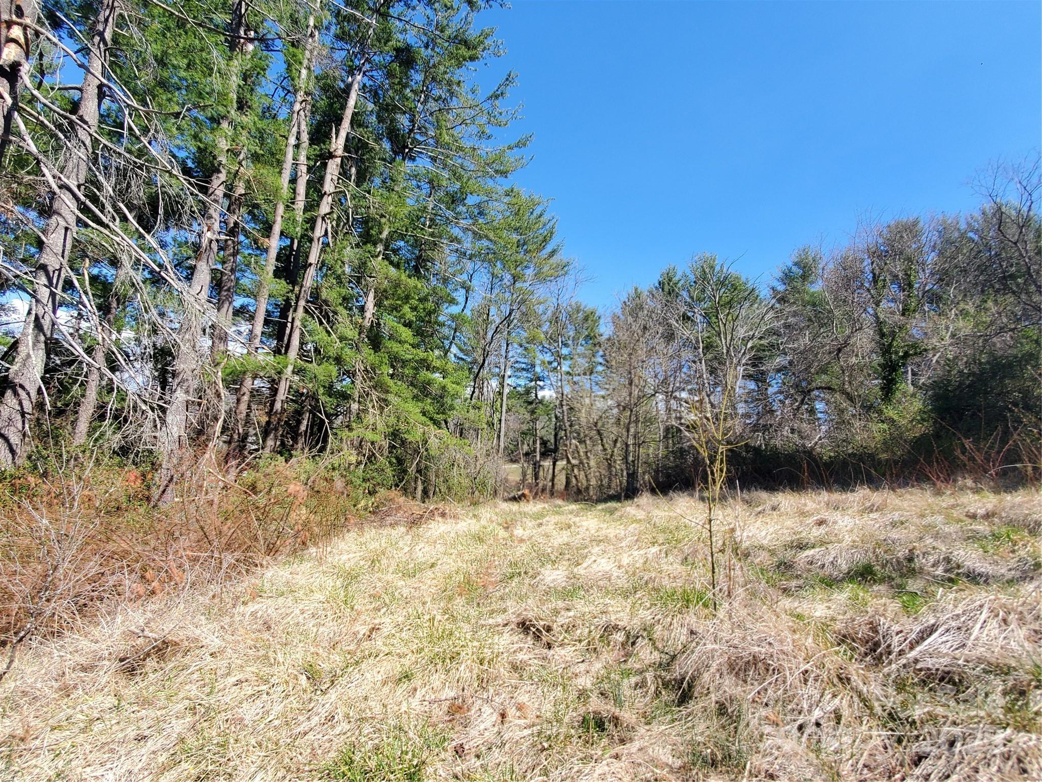 28 Plemmons Street Canton NC 28716