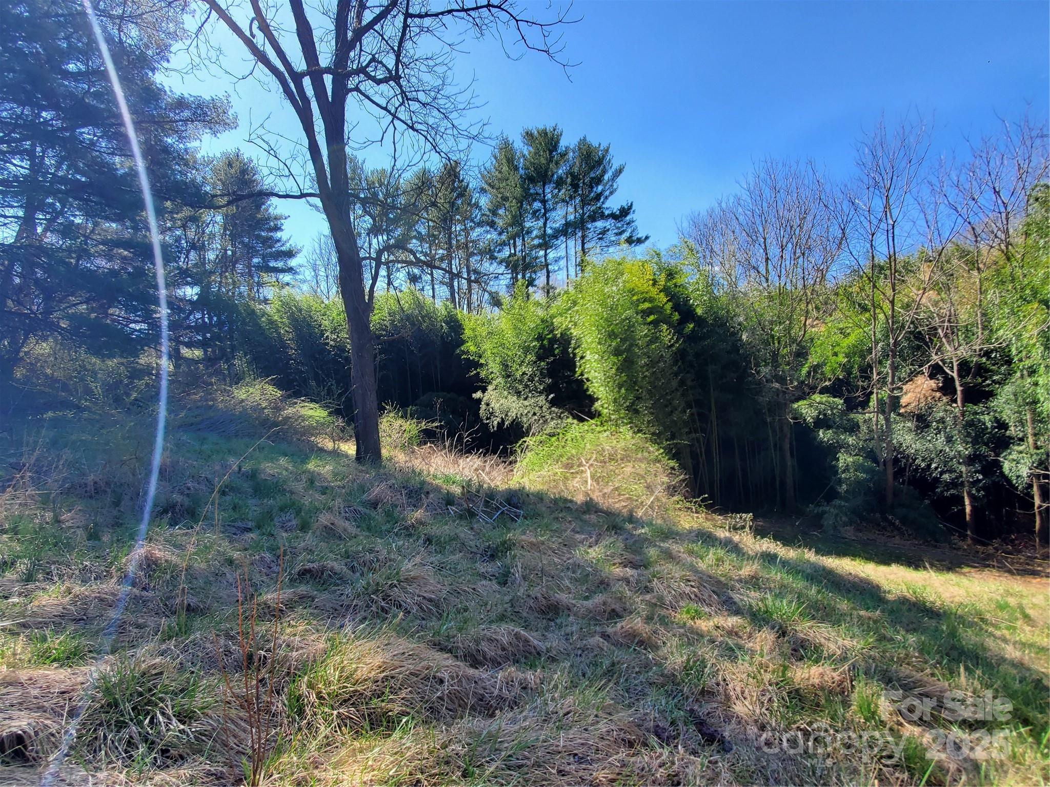28 Plemmons Street Canton NC 28716