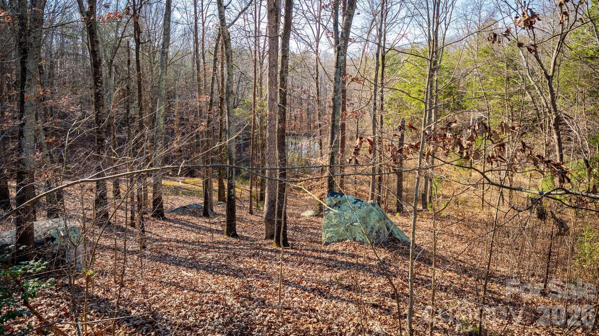 11443 Mooresville Road Davidson NC 28036