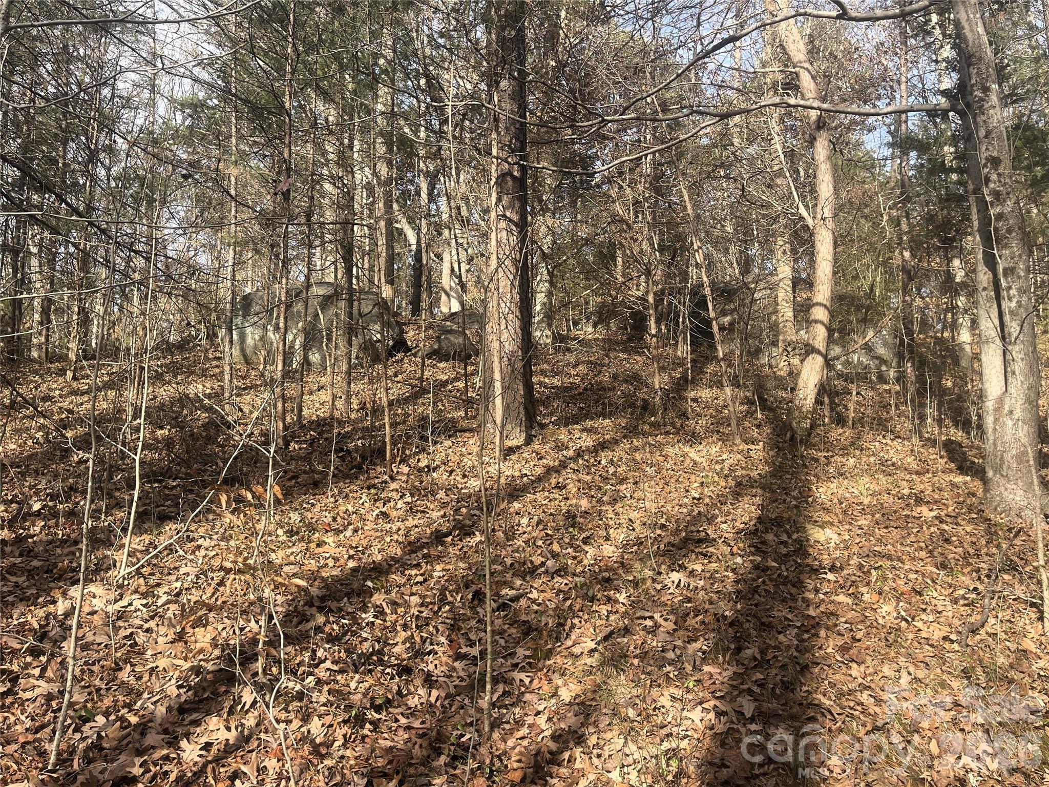 11443 Mooresville Road Davidson NC 28036