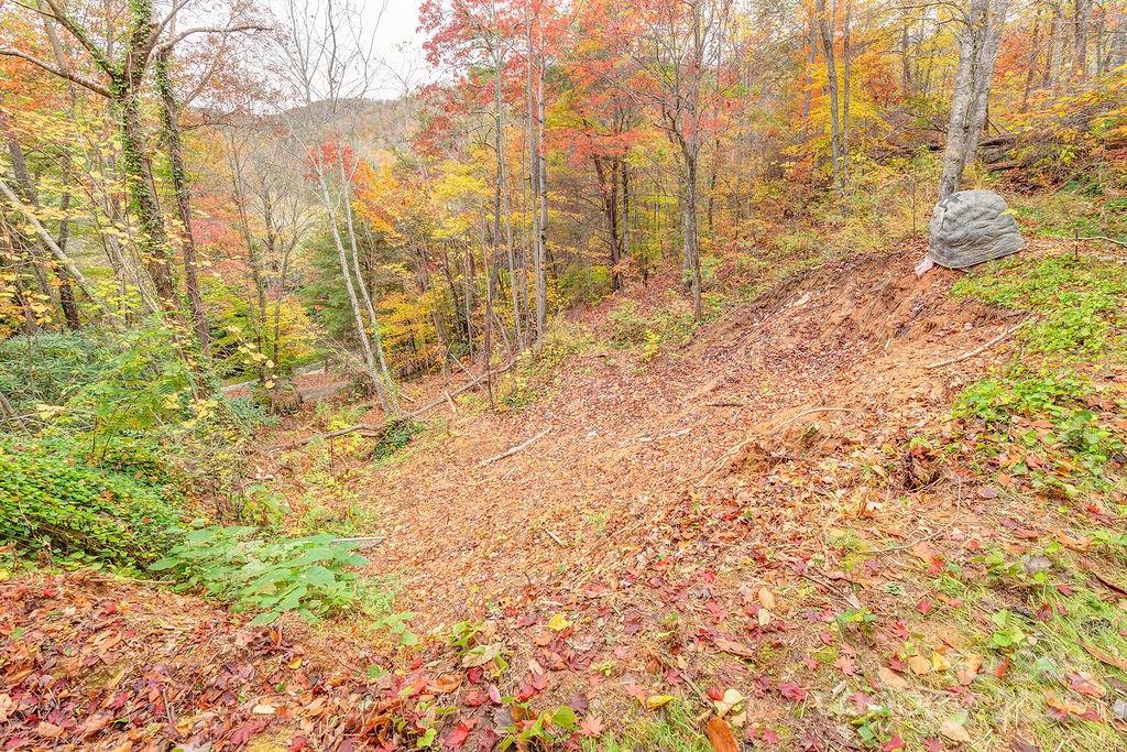 1 Kelsey Court Swannanoa NC 28778