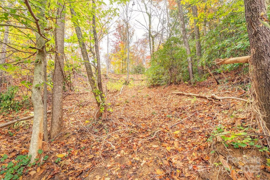 1 Kelsey Court Swannanoa NC 28778