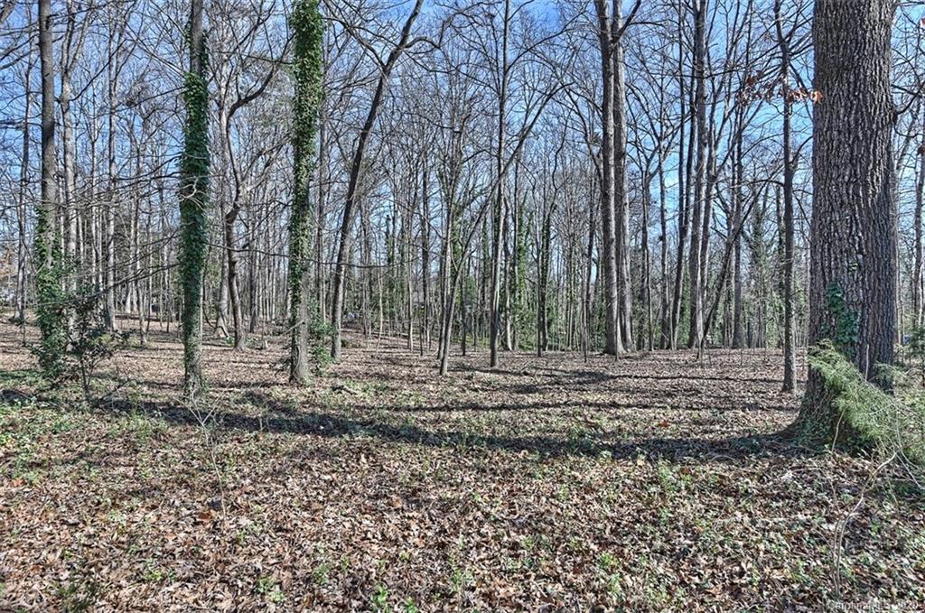 6256 Sharon Hills Road Charlotte NC 28210