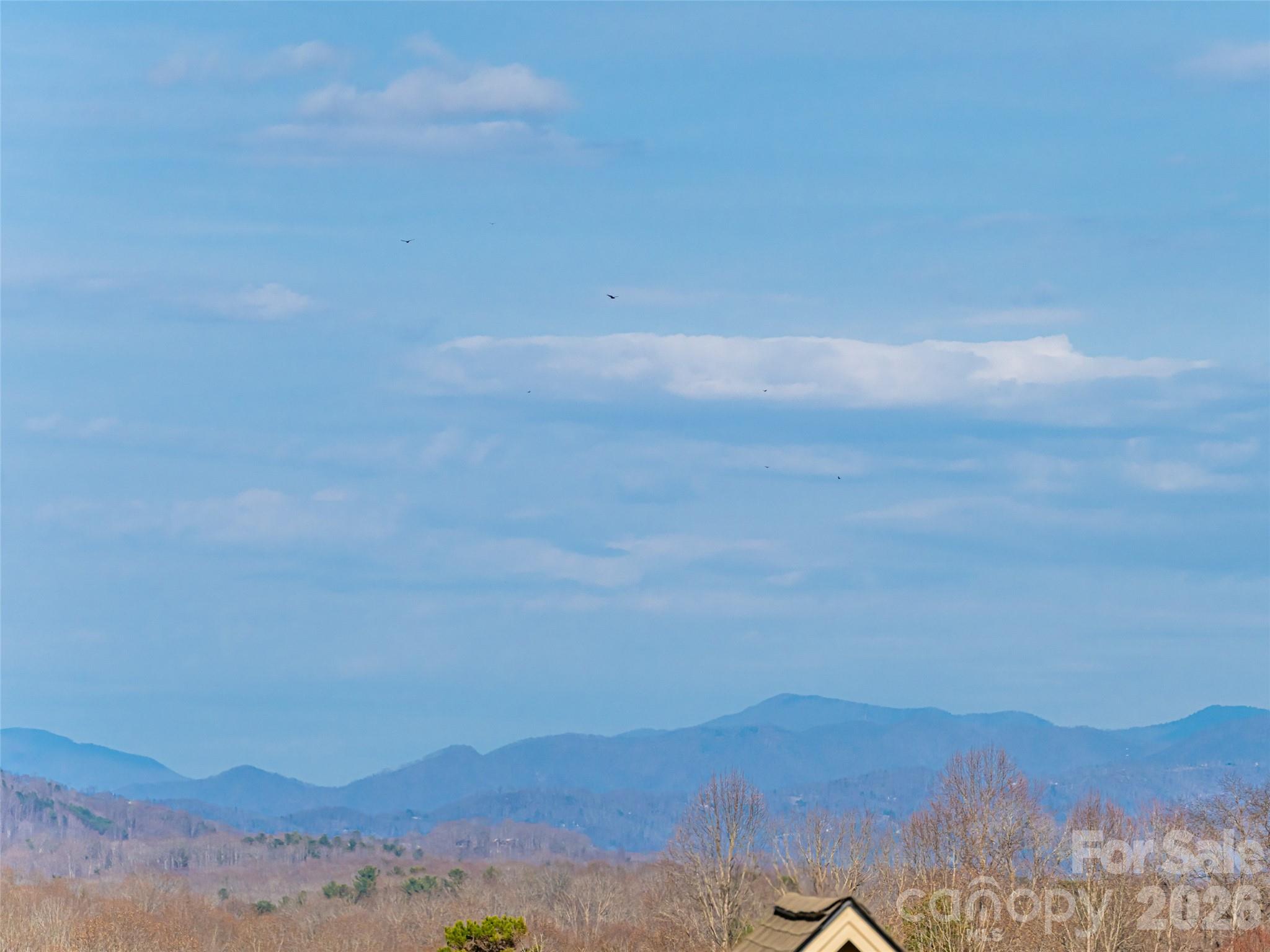 1031 Hillside Ridge Road Candler NC 28715