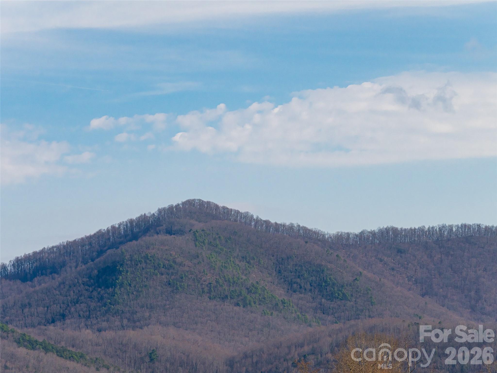 1031 Hillside Ridge Road Candler NC 28715