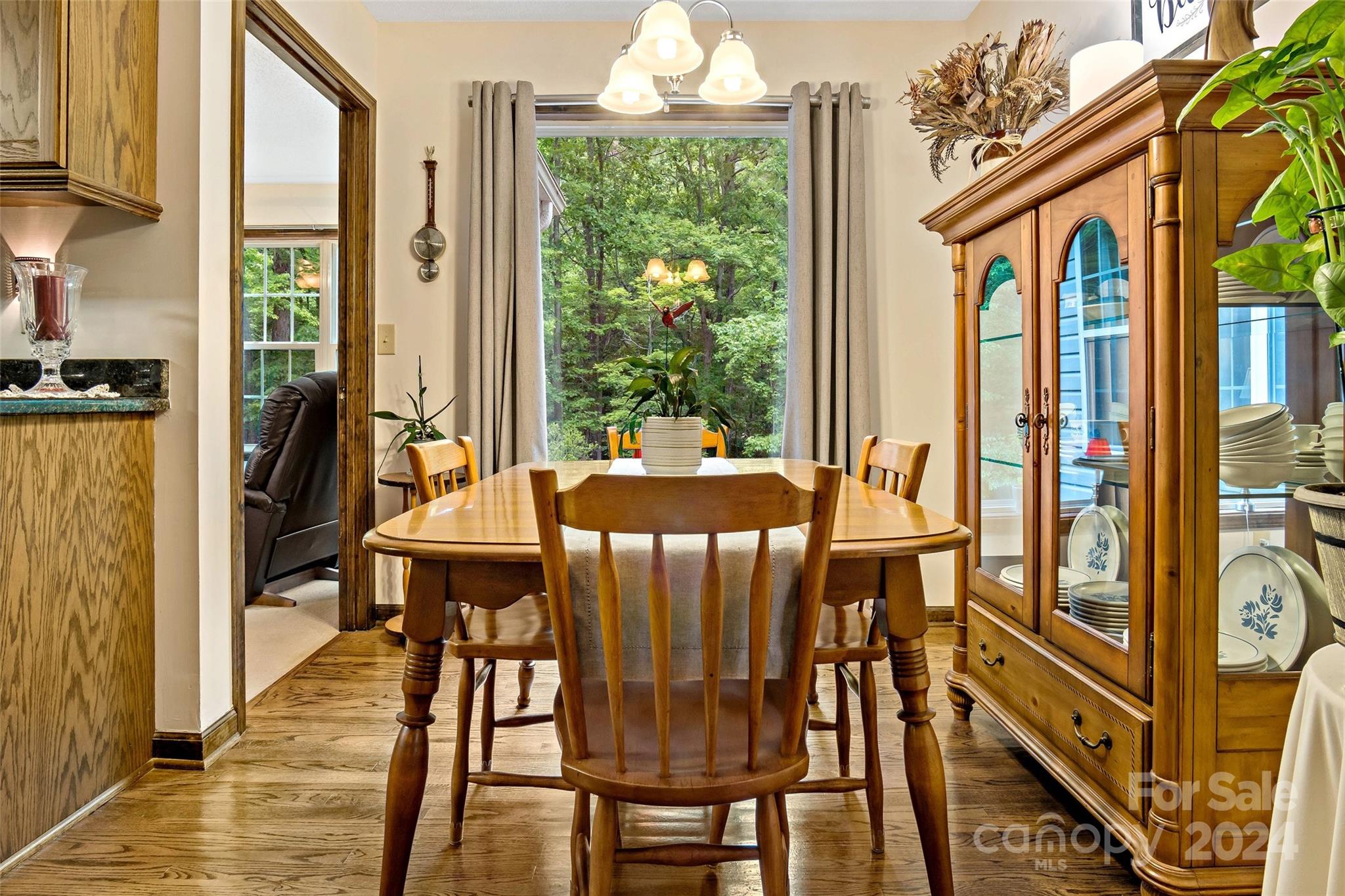 141 Yates Lane Lake Lure NC 28746