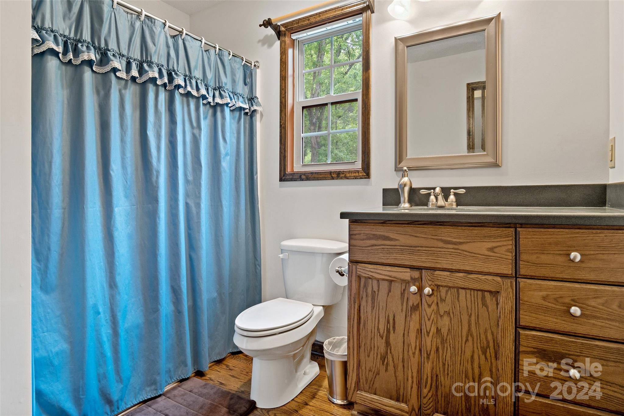 141 Yates Lane Lake Lure NC 28746