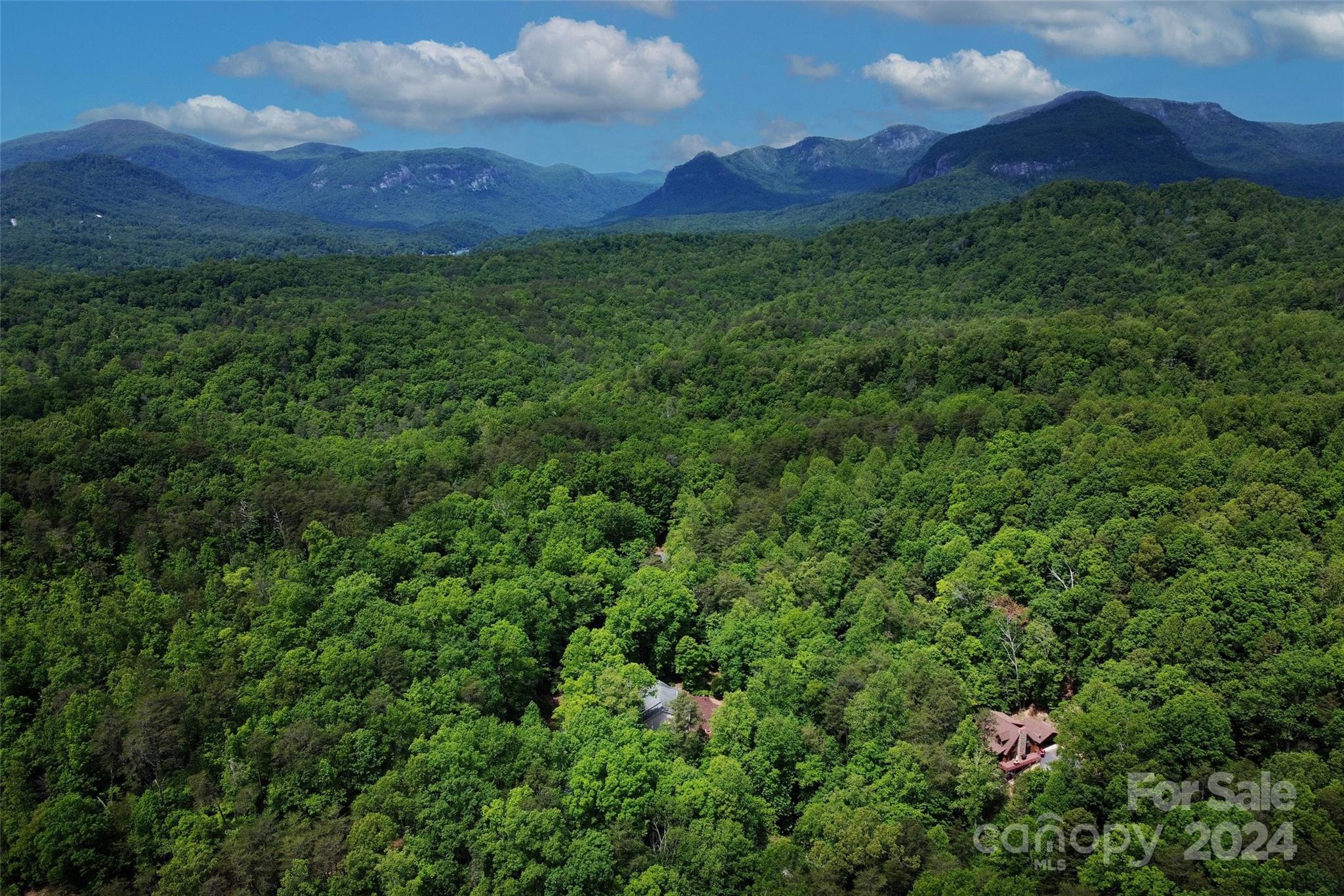 141 Yates Lane Lake Lure NC 28746