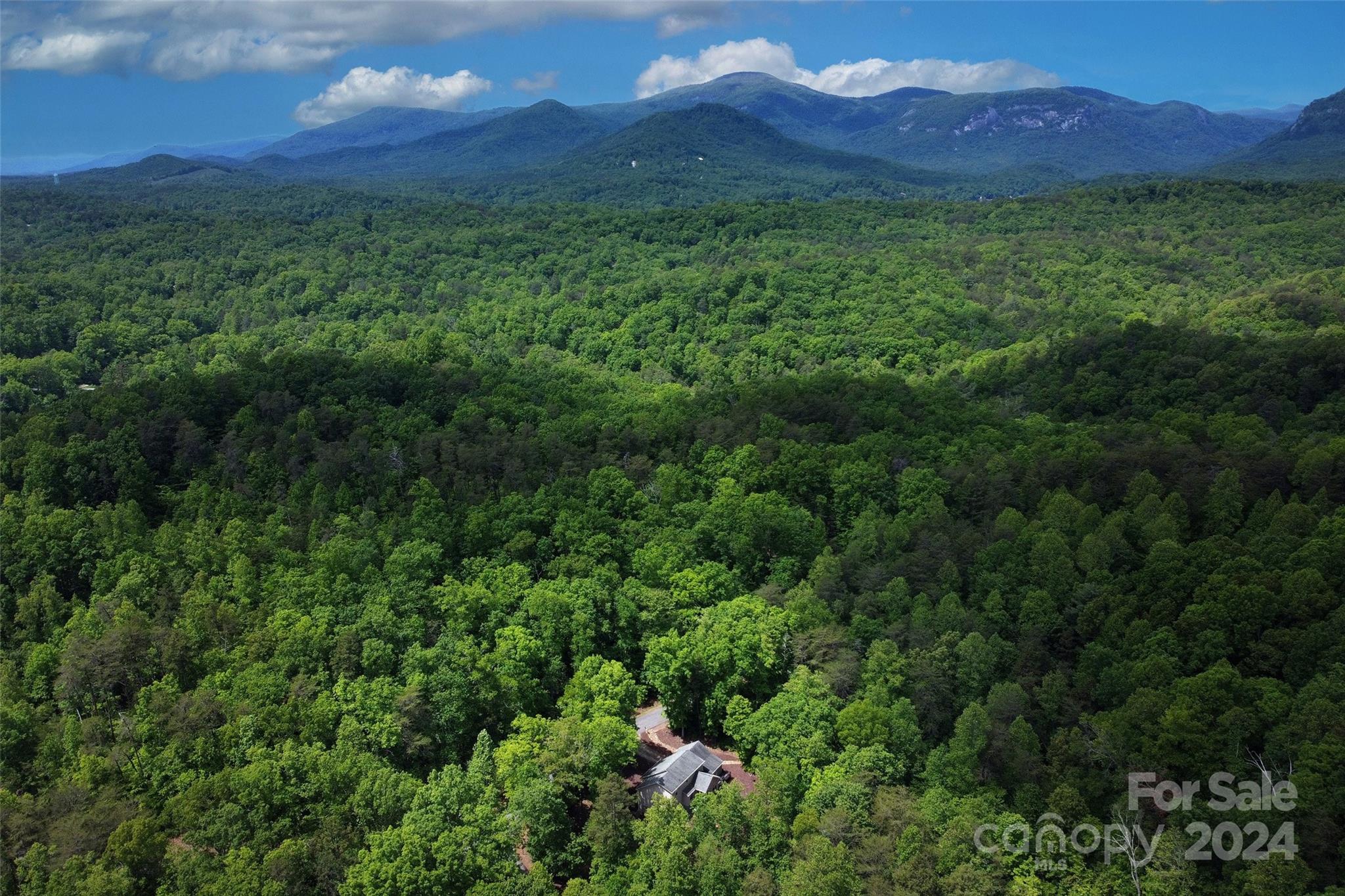 141 Yates Lane Lake Lure NC 28746